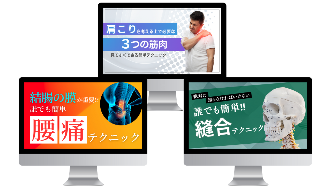 整体DVD【PNS療法完全マスタープログラム 頭痛・脳圧瞬間攻略テクニック】 整体DVD【PNS療法完全マスタープログラム 頭痛・脳圧瞬間攻略